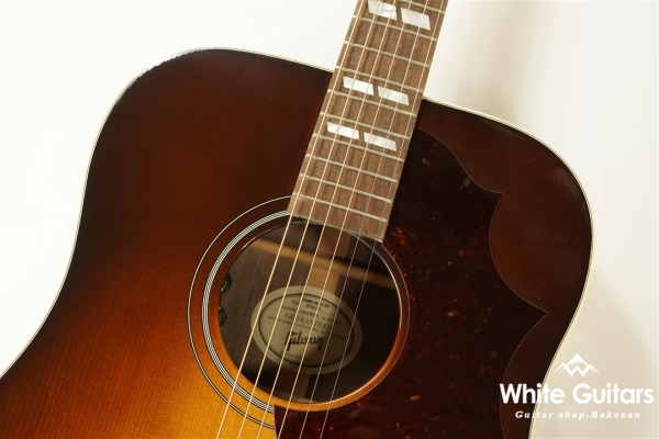 Hummingbird Studio - Walnat Burst